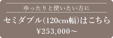 シミュレーターセミダブル